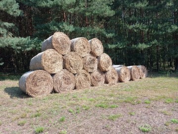 Lato z „Kwietną” na Nieborowskim Polu., 